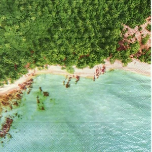 Serviettes en papier mer plage paradisiaque forêt. Napkins sea paradise beach - Imagen 1 de 1