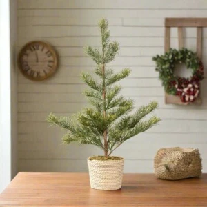 Primitivo Ragon House 23,75" albero di pino rustico in vaso intrecciato - Foto 1 di 5