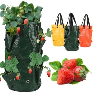 3pcs Vegetable Potato Tomato Growing Container Bags DIY Planter Planting Garden - Picture 1 of 15