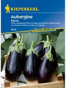 MHD 01. 2026    Aubergine " Falcon " Kiepenkerl  Beet u. Kübelpflanze   Samen - Bild 1 von 1