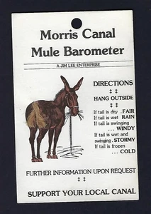 c1960's Morris Canal “Mule with Tail Barometer” Souvenir Postcard, Novelty - Picture 1 of 2