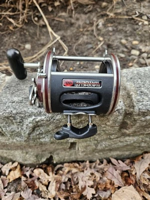 Penn 4/0 Wide Spool Special Senator 113H2LW Never Used - Image 1 of 4