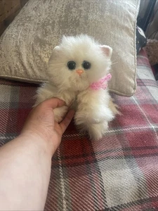 Kitty Kitty Kittens DSI Toys Cat Purring Plush - Picture 1 of 5