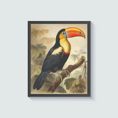 Pôster vintage com estampa de arte de pássaro tucano pintura de arte de parede - Imagem 1 de 4