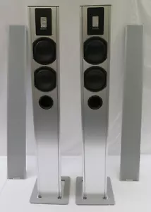 Piega TP5S Highend-Lautsprecher, Bändchen-Hochtöner, TP 5 S, Made in Switzerland - Bild 1 von 22