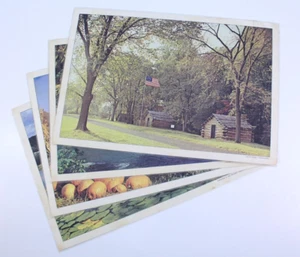 VTG Placemats Plastic Laminated Double Sided PA Pennsylvania Dutch Pocono SET 4 - Picture 1 of 10