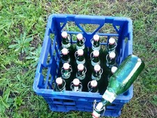 16 Flip-Top Grolsch Green GLASS BOTTLES 450ml Home Brew Beer, Cider in crate