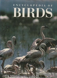 BIRDS , ENCYCLOPEDIA OF BIRDS , ED by JOSEPH FORSHAW , HC/DJ , SGD FORSHAW - Foto 1 di 2