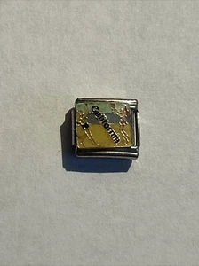 9mm Italian  Charm  Link  Stainless Steel California Beach Volleyball Yaya - Picture 1 of 2