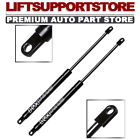 Universal Lift Supports Extended 10 Inches 80Lbs 102Mm Eyelet Ends Sg459003