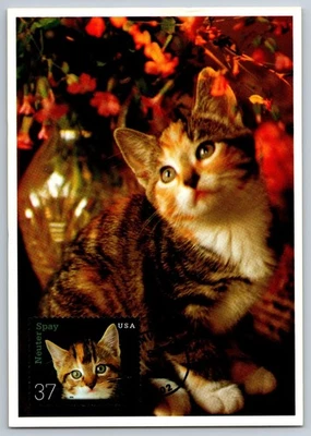 #3670 Neuter and Spray Cats FDC Maxi Card w/Pictorial Cancel - Image 1 of 2