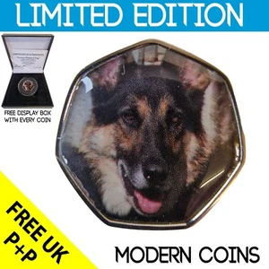 DEUTSCHER SCHIFFHUND 2021 SELTENES ORIGINAL MIT COA VON 1000 - Bild 1 von 5