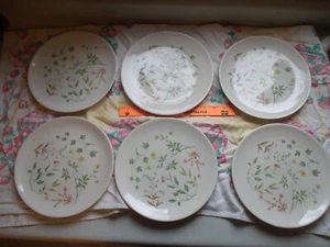 Lot 6 Vintage MCM Peter Terris Original Dinner Plates 9 3/4" April Flowers - Picture 1 of 9