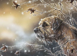 Border Terrier Weihnachtskarten 10er Pack "Frosty Border" von Paul Doyle C432x - Bild 1 von 2