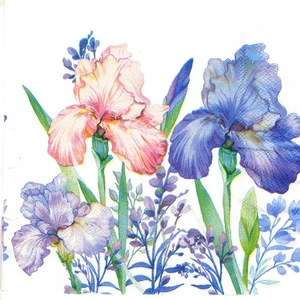 Serviettes en papier Iris et autres fleurs. Paper napkins Iris and other flowers - Picture 1 of 1