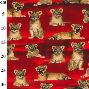 Lion Cub Jersey Fabric Jungle Animal Digital Print John Louden 135cm wide Red - Picture 1 of 1