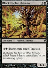 1x Black Poplar Shaman - Foil MTG Lorwyn NM Magic Foil