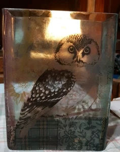 Anthropology Glass By FRINGE STUDIO Life In The Woods Owl - Patch Work Vase - Picture 1 of 10