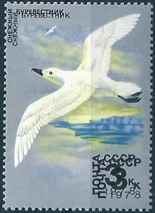 15328 Russia USSR Fauna Water Animal Bird ERROR Double Print - Picture 1 of 1