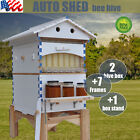 Latest Painted Wooden Auto Shed Honey Beehives House+7 Upgread Beekeeping Frames