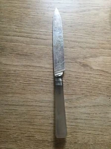 ANTIQUE AGATE & SOLID SILVER BUTTER KNIFE LONDON 1837 - Picture 1 of 3