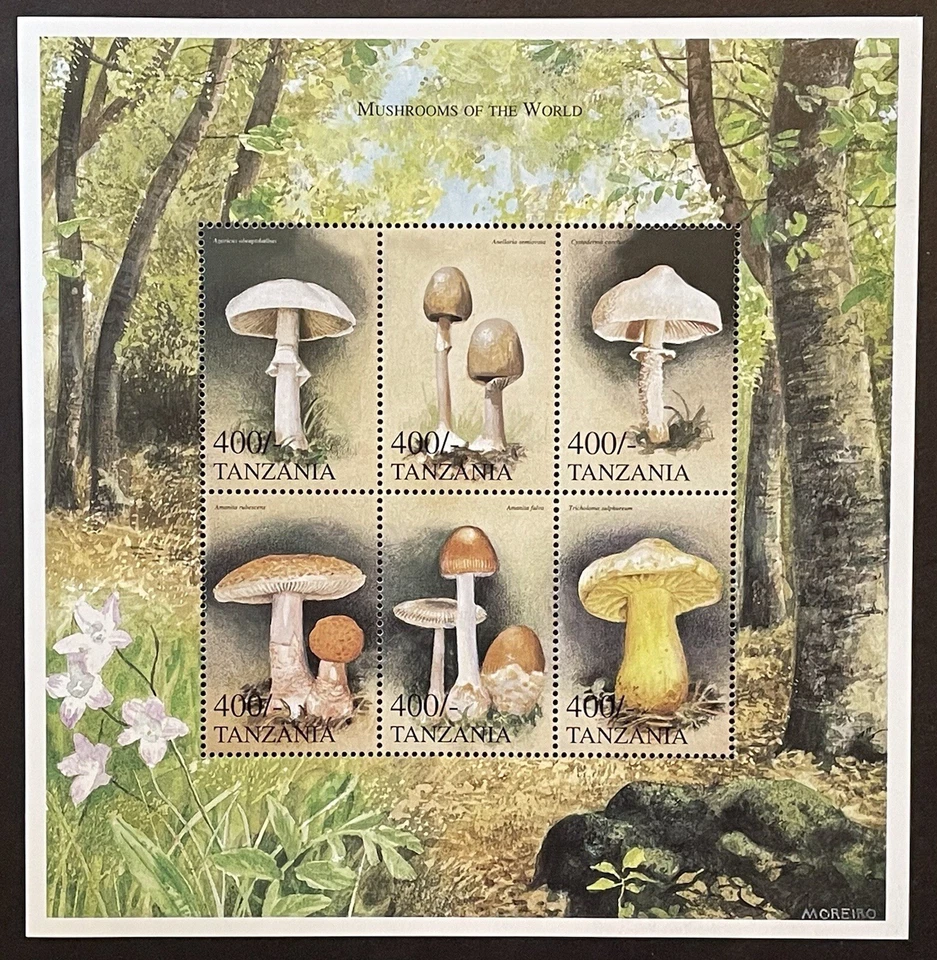 TANZANIA MUSHROOMS STAMPS SHEET MNH 1999 TOADSTOOL FUNGUS PLANT WILDLIFE FLORA - Image 1 of 1