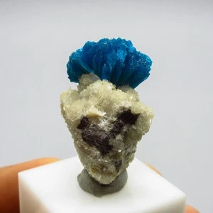 Blade like formation of Cavansite on matrix  (non precious natural stone) # 4261 - Picture 1 of 6