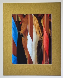 Fotografía original firmada por Denny Werner 2006 "Cara de caballo", Eveleth, MN - Imagen 1 de 4