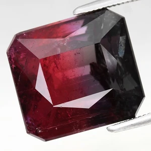 11.93ct 12.6x11.6mm Octagon Natural Unheated Bi-Color Tourmaline Mozambique, Afr - Picture 1 of 4