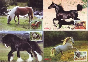 Bulgarien Fauna Pferde 2012 Komplettsatz 4 x Maxikarten - Bild 1 von 5