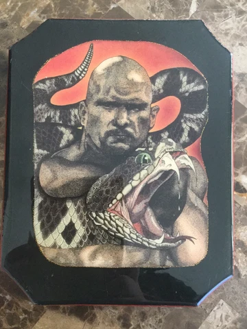 WWF WWE Stone cold Steve Austin Texas Rattlesnake Painting Art Portrait plaque Cover