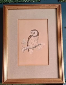 Antique Colour Plate Print F O Morris A History Of British Birds Hand Coloured - Picture 1 of 4