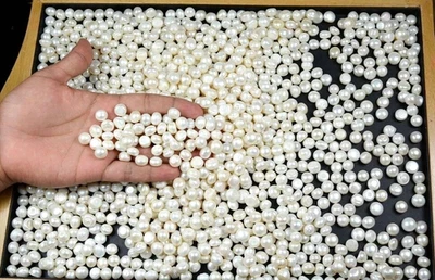 500 Ct Australian White Pearl Loose Gemstone Natural Round Cut Certified LOT - Image 1 of 2