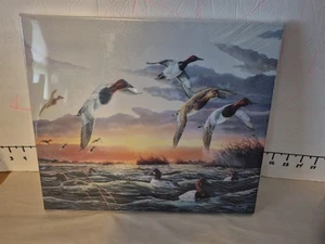 Terry Doughty In The Fast Lane Canvasbacks Ducks Signed Ducks Unlimited New - Picture 1 of 10