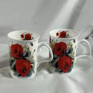 Taza Roy Kirkham Poppy’s Fine Bone China Inglaterra Flores de Amapola Roja De Colección 1991 - Imagen 1 de 12