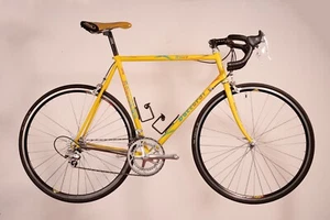 Daccordi Unico - 57cm - Picture 1 of 18