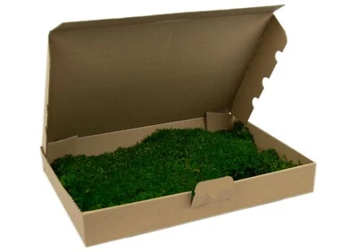 konserviertes Moos Moosmatten Moosplatten Moss Oster Dekoration Moosplatte - Bild 1 von 3