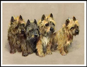 CAIRN TERRIER GROUP OF DOGS VINTAGE STYLE A4 SIZE DOG ART PRINT POSTER - Picture 1 of 1