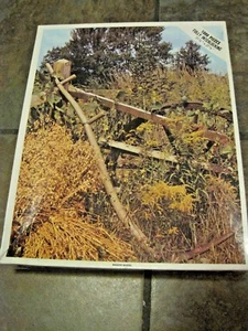 RUOTA CARRO ~ WHITMAN 1000 PZ. PUZZLE ~ # 4777, NUOVO, SIGILLATO, SEMBRA DAVVERO DIFFICILE! - Foto 1 di 3