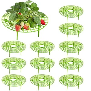 6 Pack Strawberry Plant Supports-Strawberry Growing Rack with 4 Legs-Strawber... - Picture 1 of 7