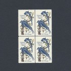 Audubon Society - Collie