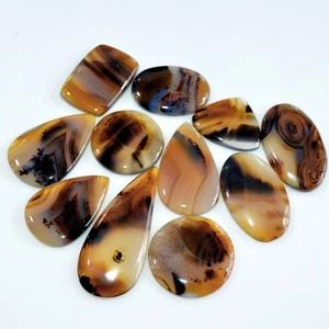 11 Pcs 214 Cts Natural Montana Agate Cabochon Gemstone Lot 40x15 25x16mm #16298 - Picture 1 of 7