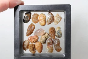 Mongolia Gobi Natural Agate specimen 20 Gr. mix lot A3 - Picture 1 of 12