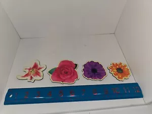 Calamite frigo fiori - Lotto di 4 - Foto 1 di 2
