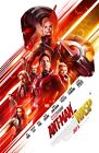 Ant Man movie poster - Paul Rudd poster, Antman and the Wasp poster 