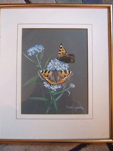 2 DELIGHTFUL James Clynsley Watercolours (20th Century School)-"Butterflies" - Picture 1 of 12