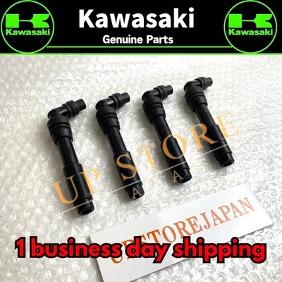 Tapa de enchufe Kawasaki OEM 21160-1081 (x4) Ninja ZX-6 ZZR600 piezas OEM Foto 1 de 4