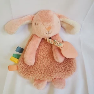 Itzy Ritzy Lovey Security Blanket Teether Baby Lovey Textured Pink Bunny Rabbit - Picture 1 of 6