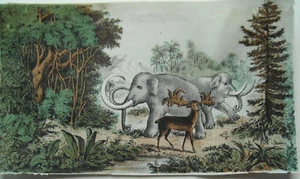 Elefante cervo Africa giungla vera litografia antica colorata 1830 - Foto 1 di 2