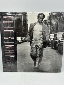 1998 James Dean Wall Calendar, New, Sealed - Picture 1 of 5